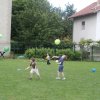 portno sreanje 10.6.2013 61